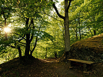 Man sieht von der alten Burganlage (befestigter Bergsporn) einige übrig gebliebene Mauerreste.